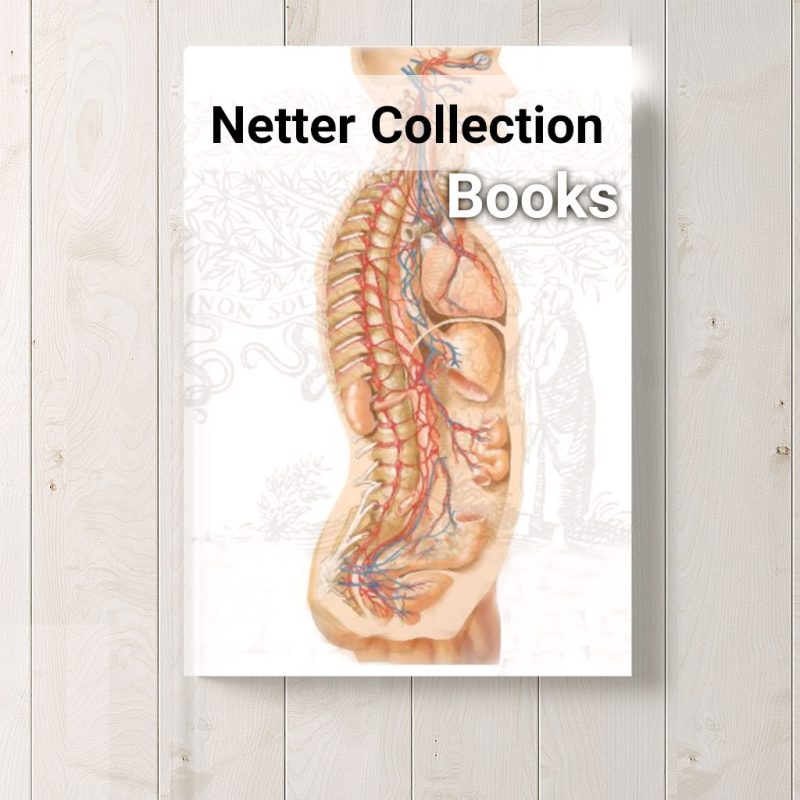 Netter-Collectioncat